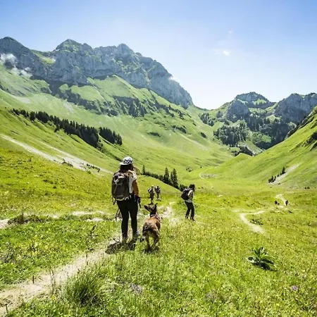 Madeline Md25 Sun&view 6 Pers * Châtel
