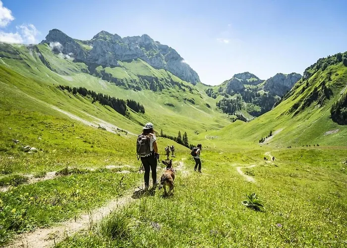 Madeline Md25 Sun & View 6 Pers * Châtel